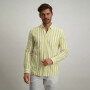 Overhemd-met-een-button-down-kraag---lime/wit