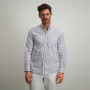Button-down-overhemd-van-biologisch-katoen---kobalt/wit