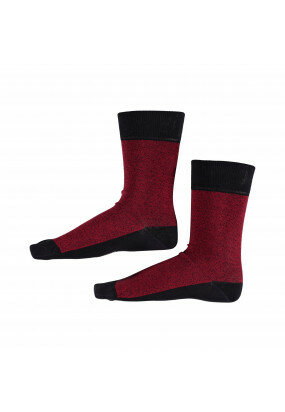 Gestreepte-sokken---donkerblauw/rood