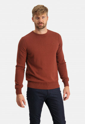 Pullover-with-a-logo-on-chest