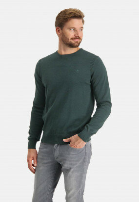 Pullover-with-a-logo-on-chest