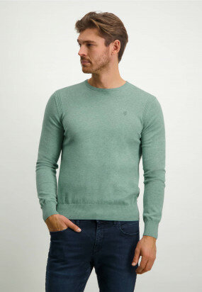 Pullover-mit-R-Ausschnitt-aus-Bio-Baumwolle---blattgrün-uni
