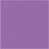 dark lavender plain